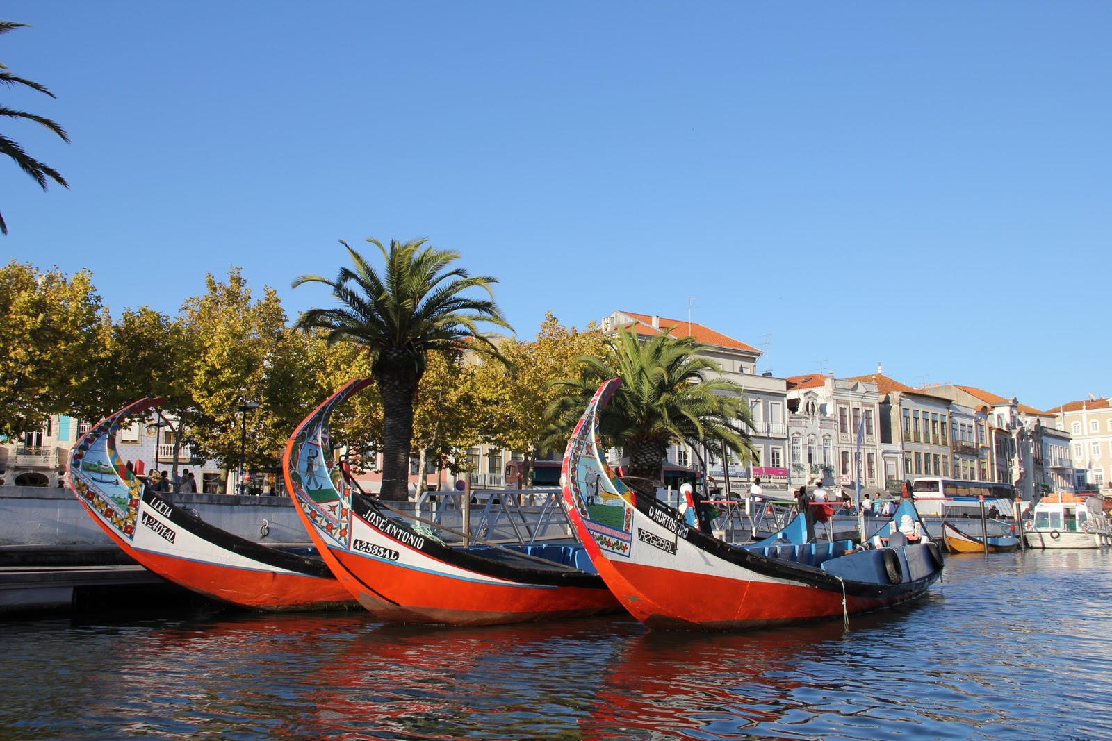 Aveiro canals with traditional moliceiro boats Portugal