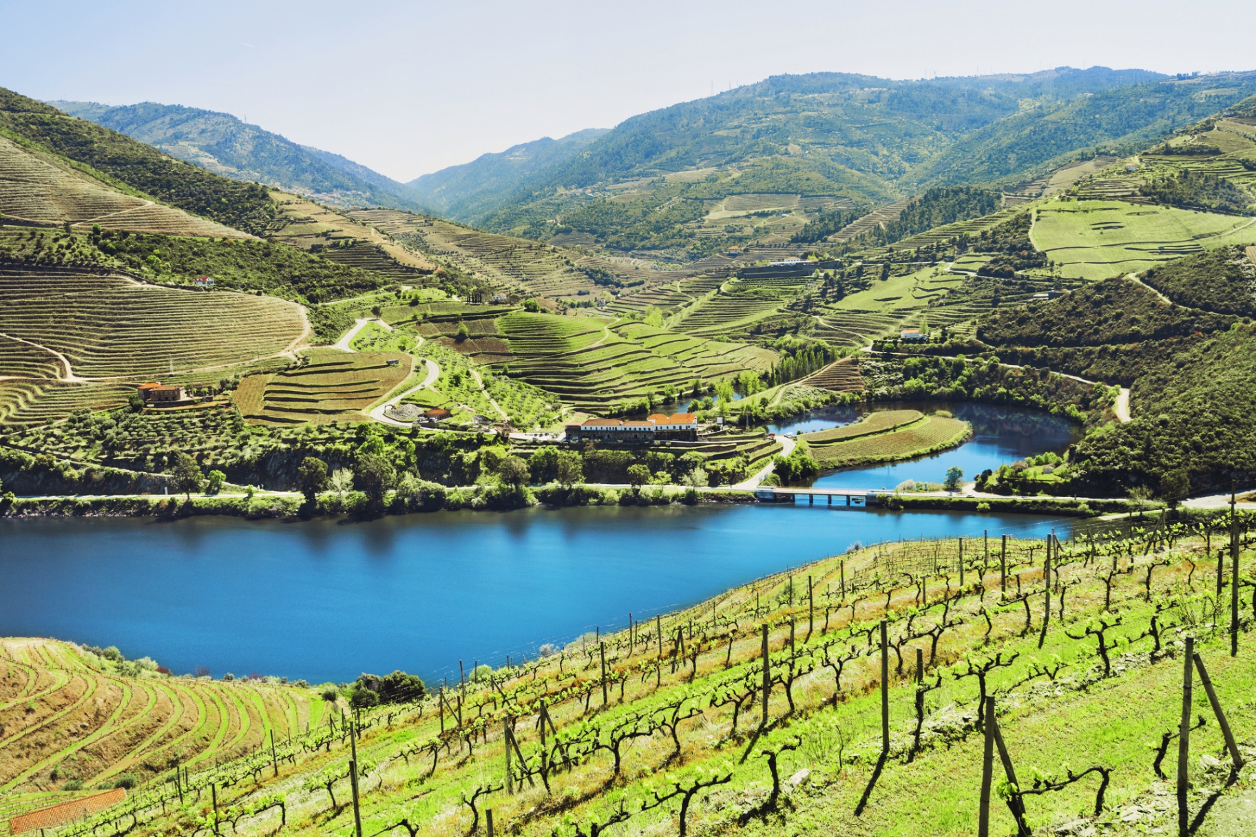 Douro Valley wine tour from Porto — vineyard terraces and river cruise in Pinhão, Cima Corgo