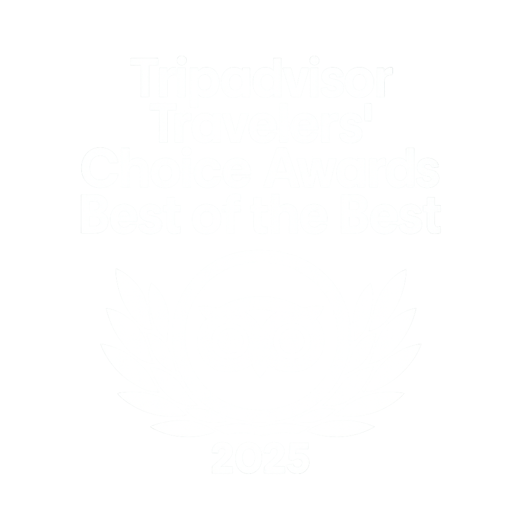 TripAdvisor Travellers' Choice 2025 award – Oporto Road Trips