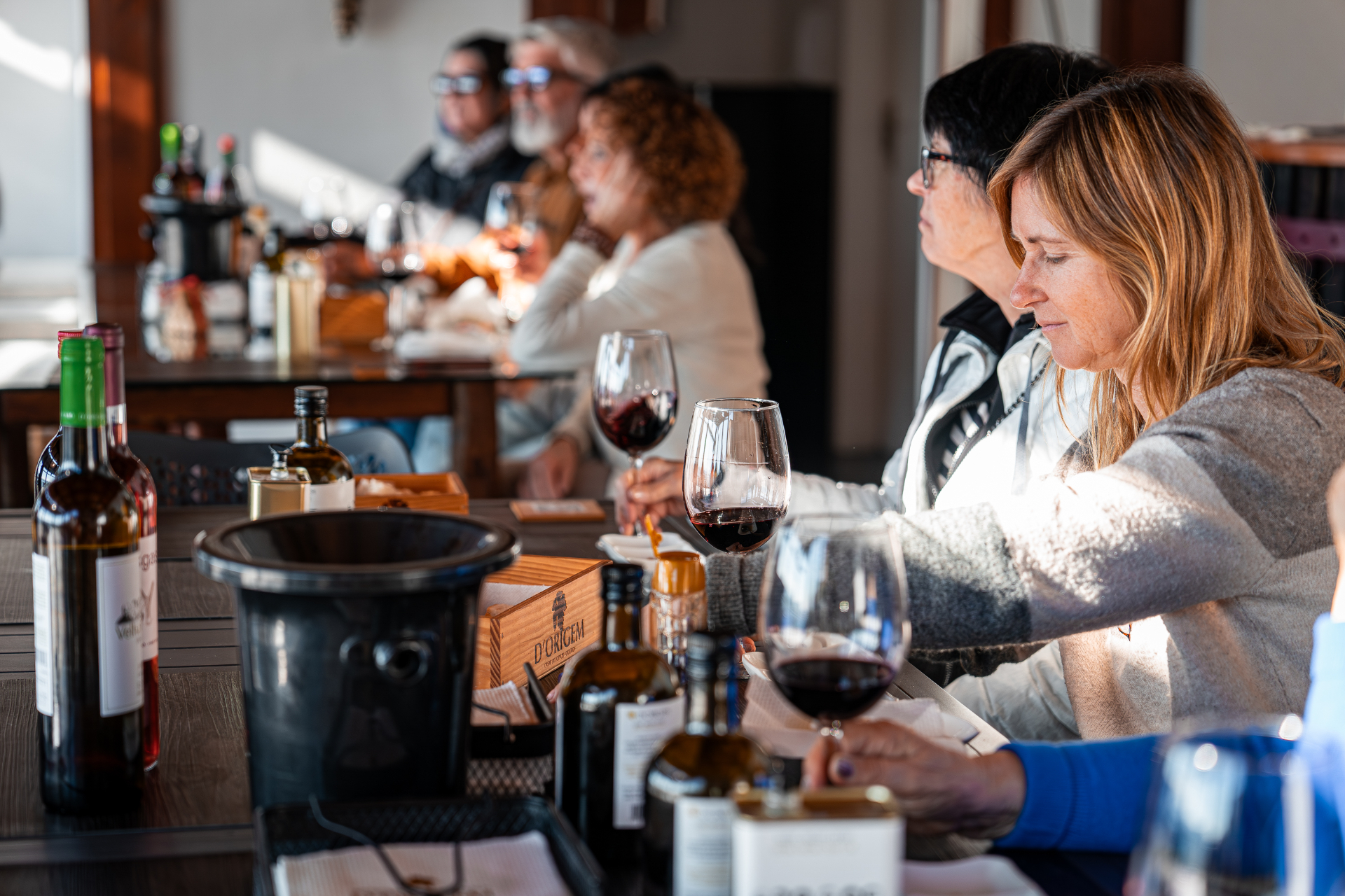 Douro Valley Small Group Tour: 2 Wineries, Lunch & River Cruise from Porto — small-group guided tour with Oporto Road Trips
